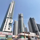 돼지공인중개사사무소 이미지
