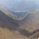 삼백육십오일사 네이버블로그