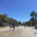 분수공원 다목적경기장 | 바르셀로나 3일 여행 코스 ③ / 보른지구·피카소 미술관·몬주익 분수쇼 완벽 동선