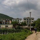 (주)늘푸른마을 네이버블로그