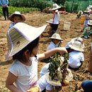 아랑농장 이미지