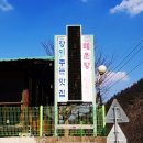 강이주는맛집 이미지