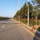 여수산단로 이미지