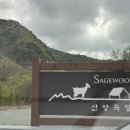 홍천산양목장 이미지