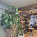 3원-天,地,人 | 친구 따라 갔다가 생각이 달라진 하루, 광주 최인태천문역원철학원에서 경험한 사주 상담 이야기