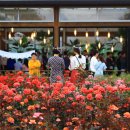 곡성의료기 이미지