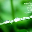 (주)새벽바다 이미지