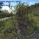 하개명마을회관 이미지