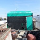 새말1길 이미지