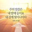 칼빈, 율법의 세 번째 기능: 신자들을 가르치며 권고함 이미지