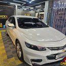 시안성 | 대구 썬팅 재시공 올뉴말리부 열선 뒷유리 뽀글이 변질 필름 제거 후기