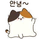 대길식당 네이버블로그