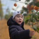 지훈농장 이미지