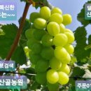 별산농장 이미지