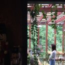 (주)시실리
