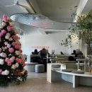 강남십자약국 이미지