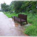 꽃들의 향연 이미지