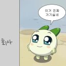 참치아울렛 - 서구 만년남로3번길 54-35 | 참치아울렛