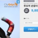 그립스