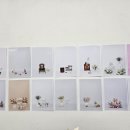 수원-0614 이미지