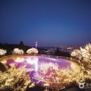 해밀톤수영장(실외) 이미지