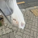 01-68 동구 이미지