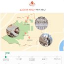 NR-7[원화로]-상-18 | 12월 이탈리아신혼여행 로마 바티칸가이드투어추천 유로자전거나라 류재선 마태오가이드 내돈내산후기