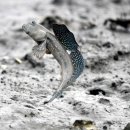 동해회관 이미지