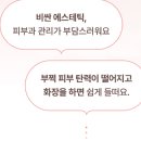 딜바이 이미지
