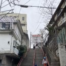 여주-0018 이미지