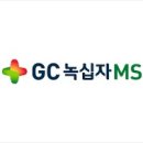 엠에스개발 이미지