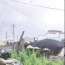 민박바당집 이미지