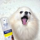 세바환경 | 강아지 세바 어뎁틸 트랜스포트 스프레이 후기