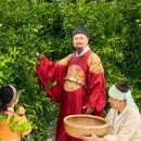 중귤농장 이미지