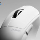 레이팜코리아 주식회사 이미지