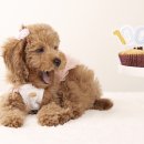 와르동물병원 이미지