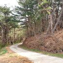 예림약국 이미지