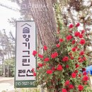 솔향기그린펜션 이미지