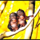 웃는시간 이미지