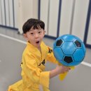 경희대 한 태권도장 | 포항 태권도 초곡경희대태권도장 한달등록후기