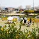 곡성-200 이미지