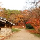 계림아파트 이미지