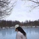호명호수(갤러리) | [여행] 초겨울 삿포로 #.3일차 비에이투어 내돈내산 후기(홋카이도랩)