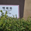 대도장 이미지