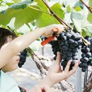 영동황간로1 이미지