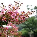 염북마을회관 이미지