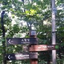 우면산3-33 이미지