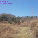 사자골천 | [2019타경101778] 충남 천안시 동남구 병천면 관성리 <<토지(임야)경매>>