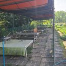 수배농장 이미지