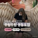 여우PC | 주렁주렁 영등포 데이트 타임스퀘어 실내동물원 주차 할인 후기